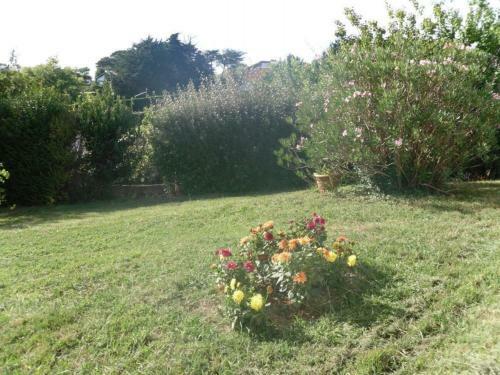 G�te Gu�thary, 3 Pi�ces, 4 Personnes - Fr-1-384-439