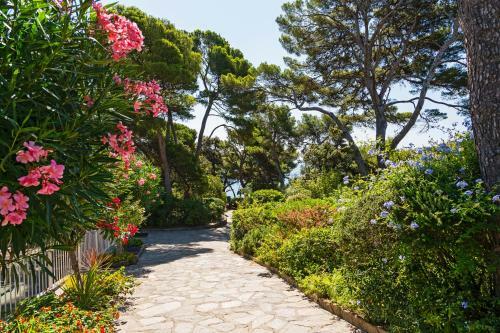 Apartamento R�sidence Le Proven�al