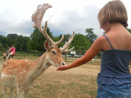 Bed & Breakfast Auberge de La Normandie