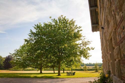 Bed & Breakfast Chateau de Joyeux - Chambres D'hotes