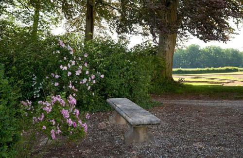Bed & Breakfast Chateau de Joyeux - Chambres D'hotes