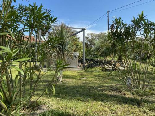 G�te Labenne, 4 Pi�ces, 6 Personnes - Fr-1-360-568