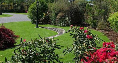 Bed & Breakfast Tui Lodge