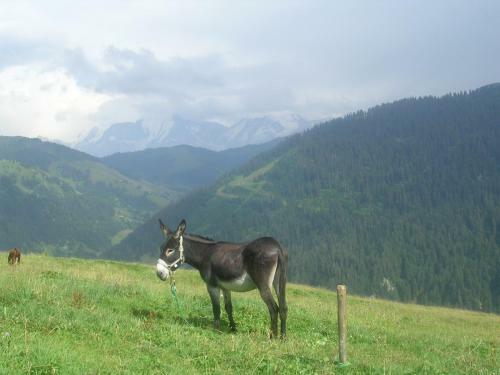 Bed & Breakfast Le Megevan