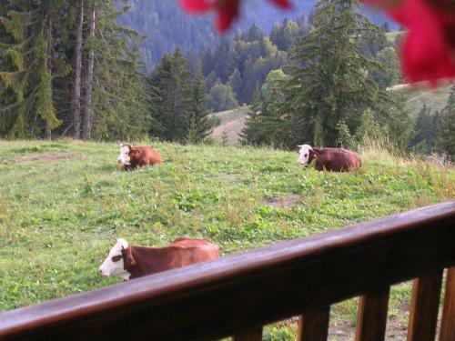 Bed & Breakfast Le Megevan