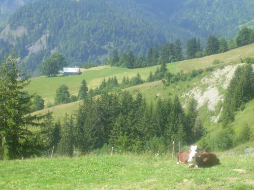 Bed & Breakfast Le Megevan