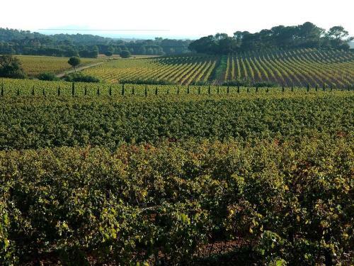 Gites Maravenne
