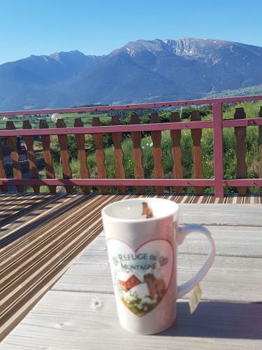Villa Grand Chalet Familial