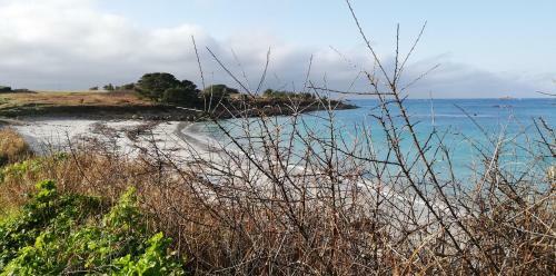 Apartamento R�sidence Des Dunes