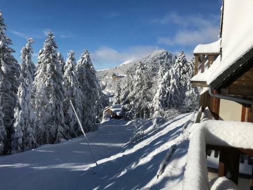 Apartamento Puy Du Rocher