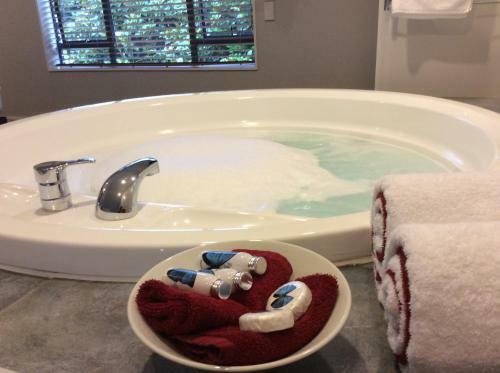 Aubyn Court Spa Motel