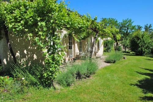 Maison Des Vignes