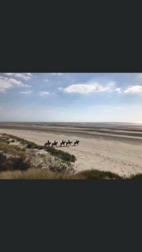 Bed & Breakfast Escale Beaut� Le Crotoy