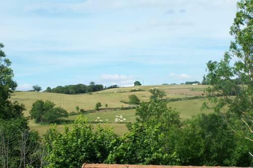 Chezpinleau