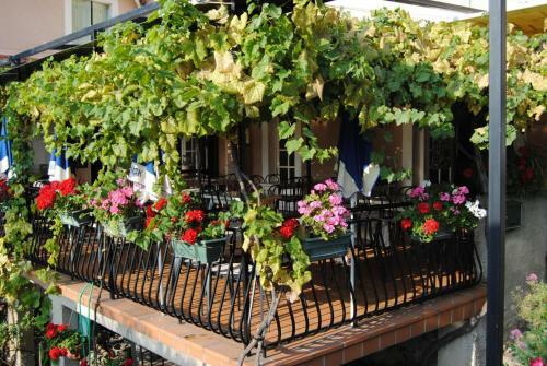Hotel H�tel-restaurant Le Matibyll
