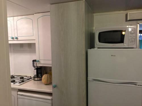 Mobil Home Climatis� Sables D'or Cap D'agde