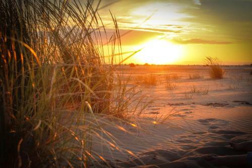 Apartamento Les Sables D'or Le Grau-du-roi
