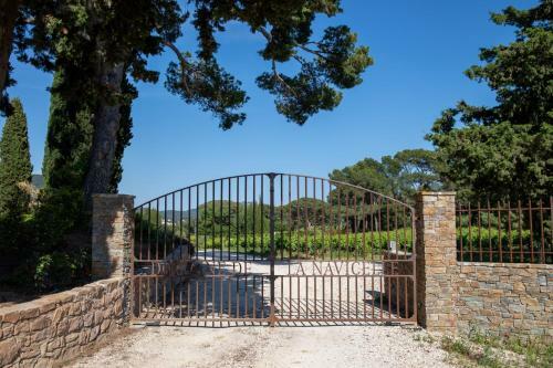 Domaine de La Navicelle - Syrah