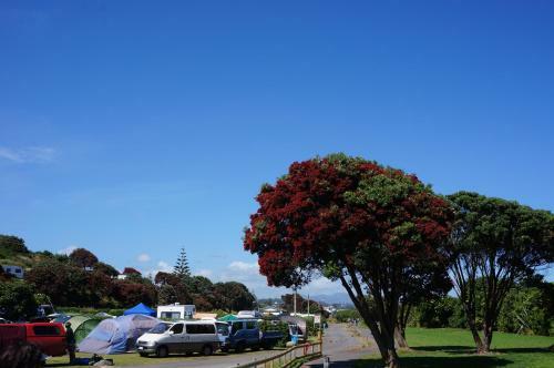 Fitzroy Beach Holiday Park
