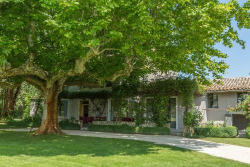 Villas Du Luberon - Mas Les Blondes