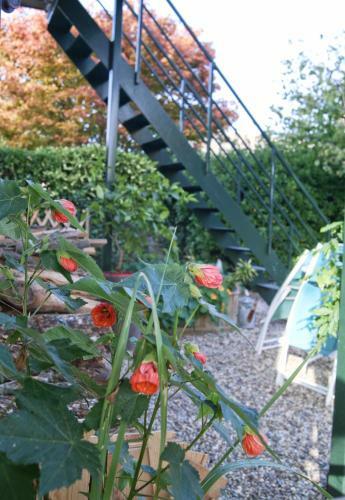 Bed & Breakfast Le Grenier De Louisette