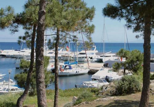 Apartamento Marine de Sant'ambroggio- Charmant Studio Proche Mer - 119coco