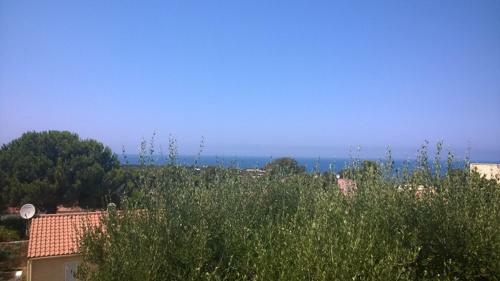 Apartamento Marine de Sant'ambroggio- Charmant Studio Proche Mer - 119coco