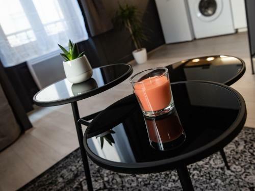 Apartamento Le Nid Lyonnais - Montchat