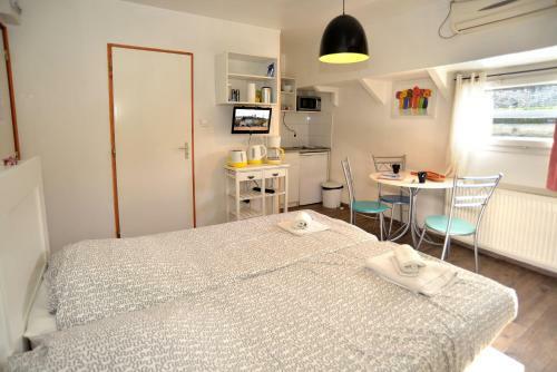 Apartamentos Studios Peniche Lyon Centre Vieux Lyon Confluence