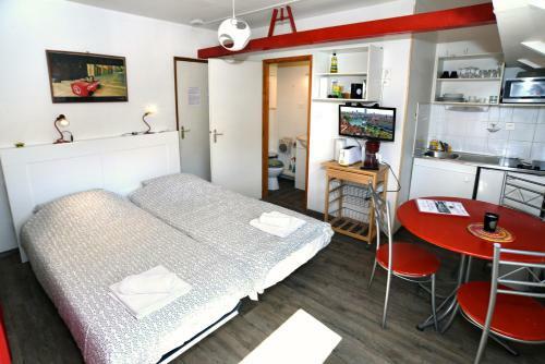Apartamentos Studios Peniche Lyon Centre Vieux Lyon Confluence
