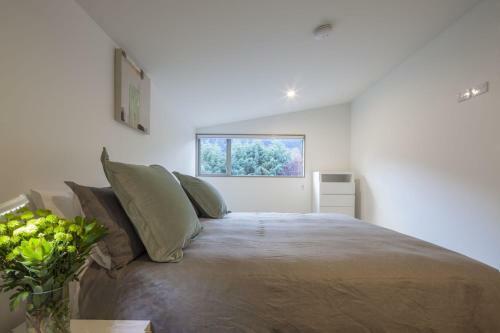 22 Hallenstein Apartment (m2)