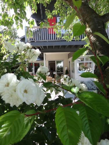 Bed & Breakfast Chalet Queenstown