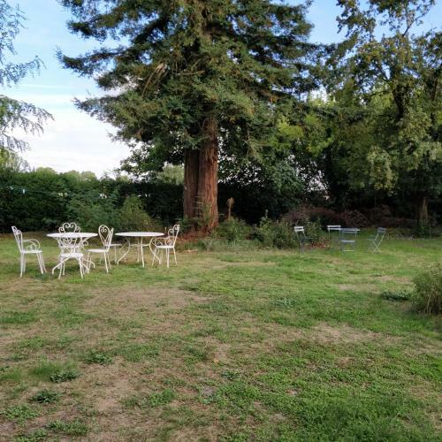 Hostal Parenth�se � Margaux - Maison D'h�tes