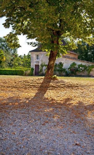 Martigue Chateau Sleeps 14 Pool Wifi