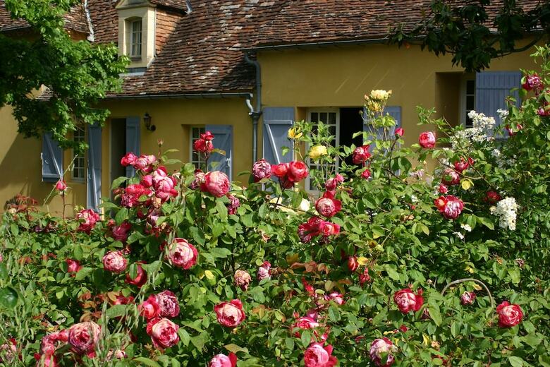 Bed & Breakfast Domaine de La Chartreuse Dautr�
