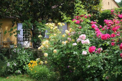 Bed & Breakfast Domaine de La Chartreuse Dautr�