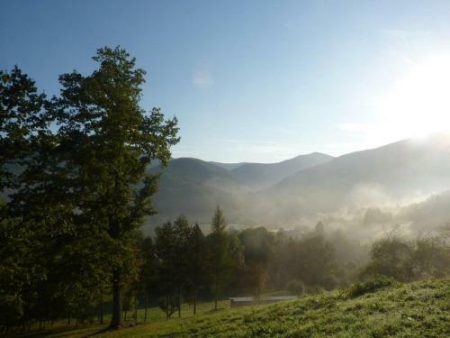G�te Massat, 3 Pi�ces, 4 Personnes - Fr-1-419-471