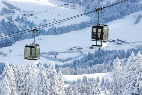 Allure Apartment - Chalet Des Coudriers