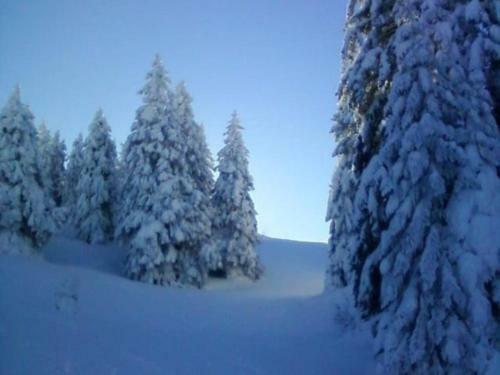 G�te Mijoux, 2 Pi�ces, 4 Personnes - Fr-1-493-220