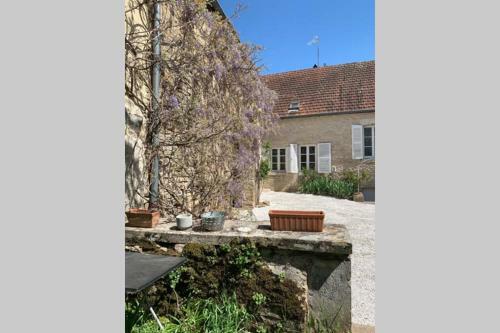 Ropiteau Maison A Meursault