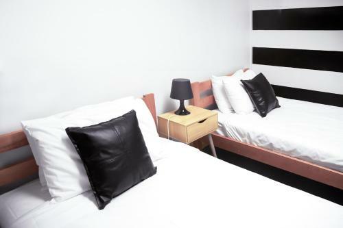 Albergue The Setup On Dixon
