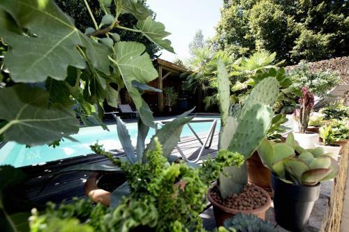 Bed & Breakfast Une Odeur De Tilleul