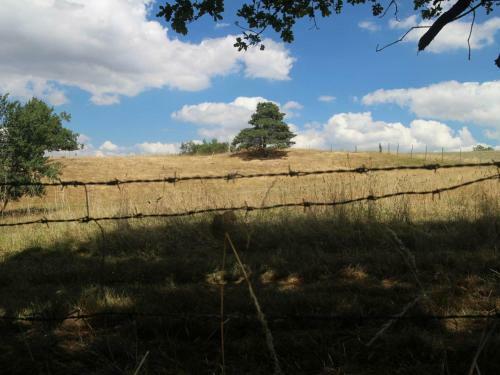 G�te Montbrison, 4 Pi�ces, 6 Personnes - Fr-1-496-157