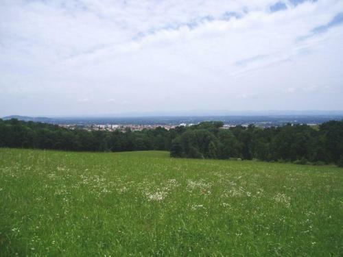 G�te Montbrison, 2 Pi�ces, 2 Personnes - Fr-1-496-158