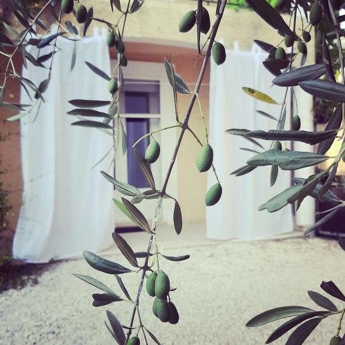 Apartamento La Villa Jasmin