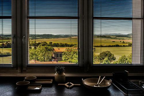 The View - Gite Sancy