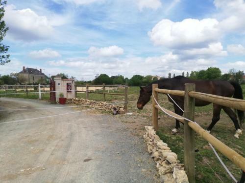 Hostal La Colline Des Hauts Bocages Vend�ens