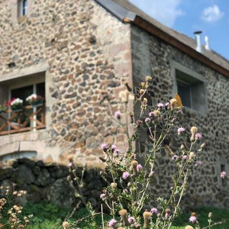 Hostal Mas Du Cresponnet
