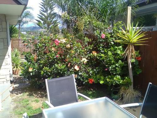 Royal Palms Papamoa Bed & Breakfast