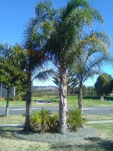 Royal Palms Papamoa Bed & Breakfast